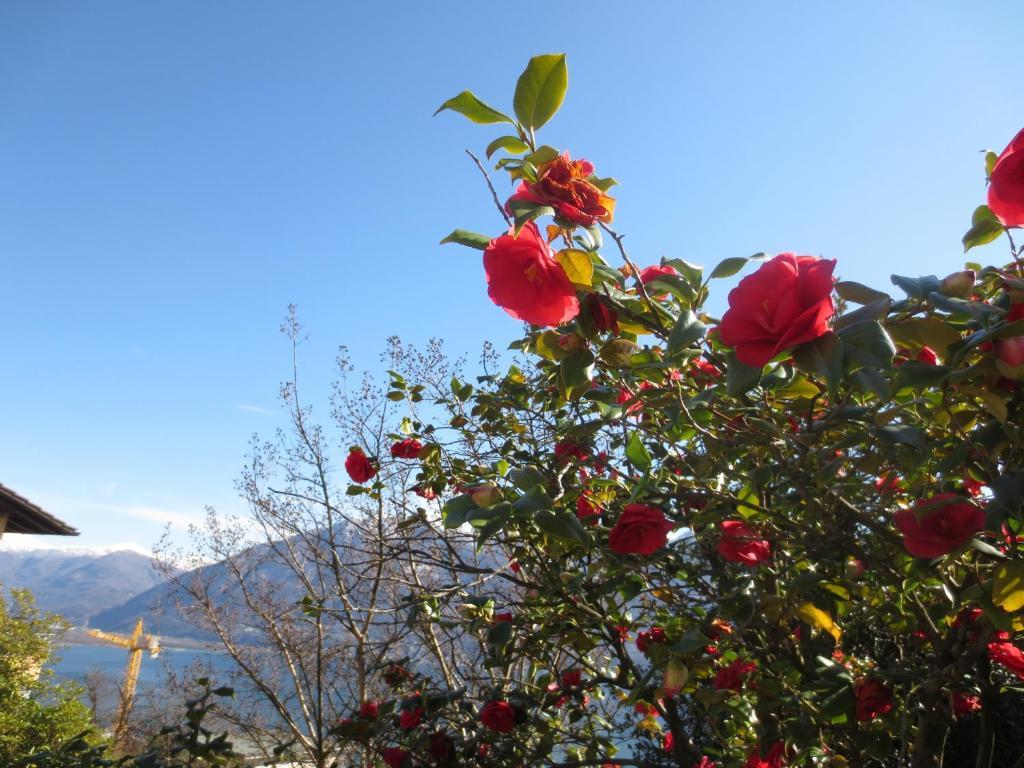 Casa Rabissale Apartman Locarno Kültér fotó